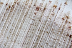 Odjel službenog laboratorija za provjeru lijekova - OMCL