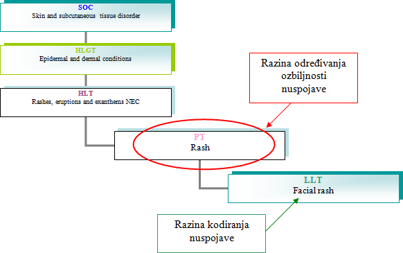 Primjer hijerarhije u MedDRA rječniku